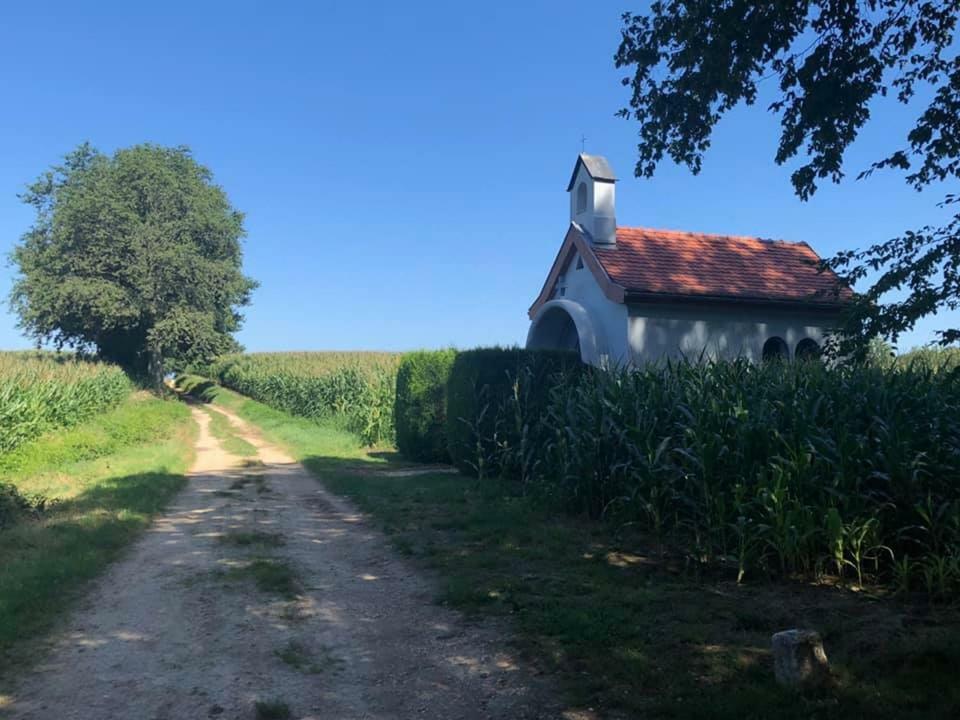 Lo'Gite L'Allee Du Val Lalaye Exteriér fotografie