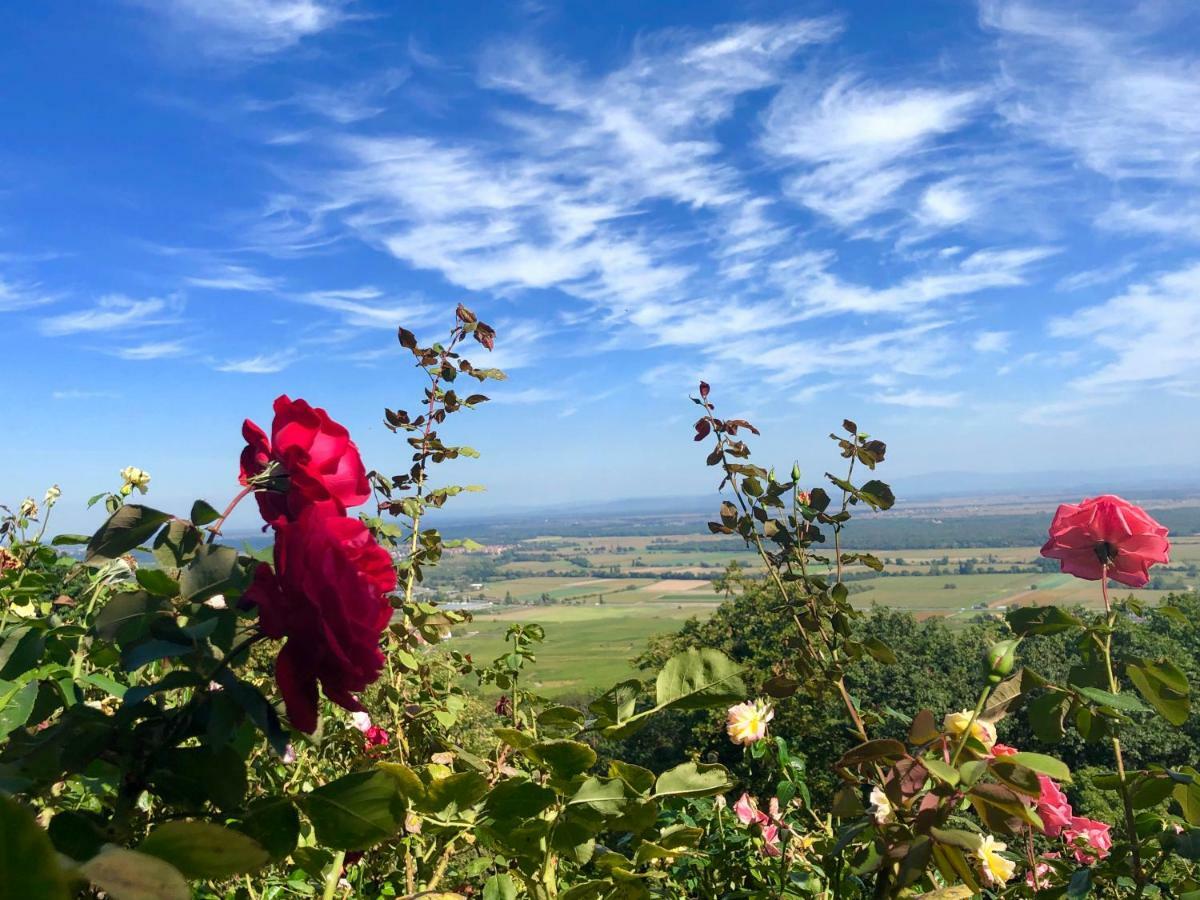 Lo'Gite L'Allee Du Val Lalaye Exteriér fotografie